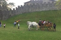 carrozza